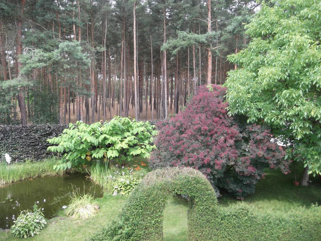 Amselgarten Lübben Zewnętrze zdjęcie
