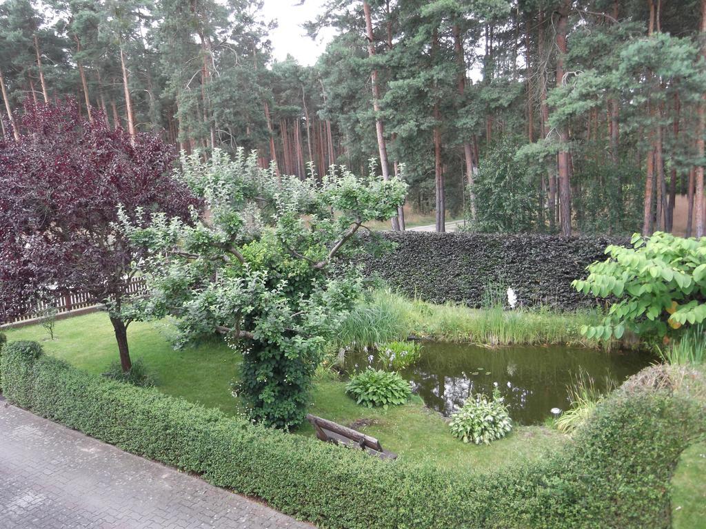 Amselgarten Lübben Zewnętrze zdjęcie