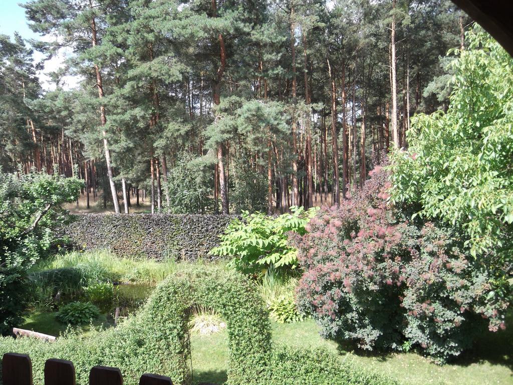 Amselgarten Lübben Zewnętrze zdjęcie