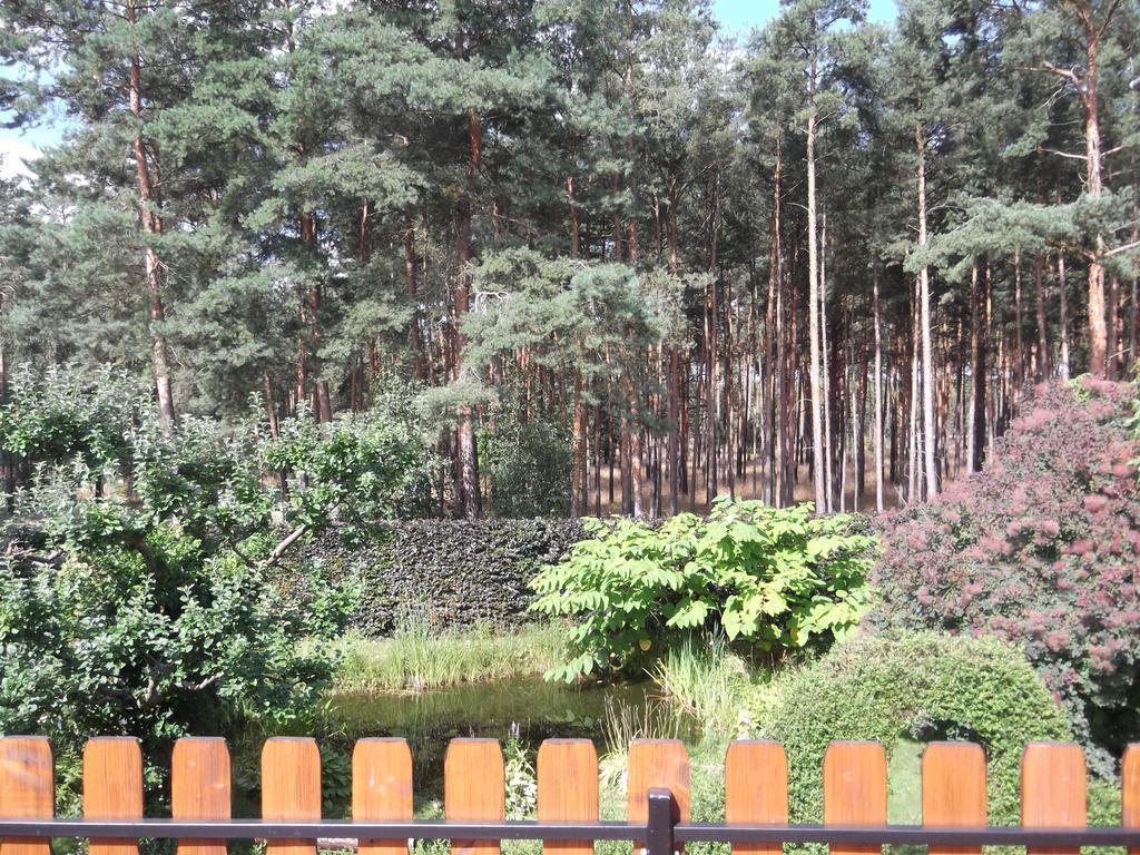 Amselgarten Lübben Zewnętrze zdjęcie