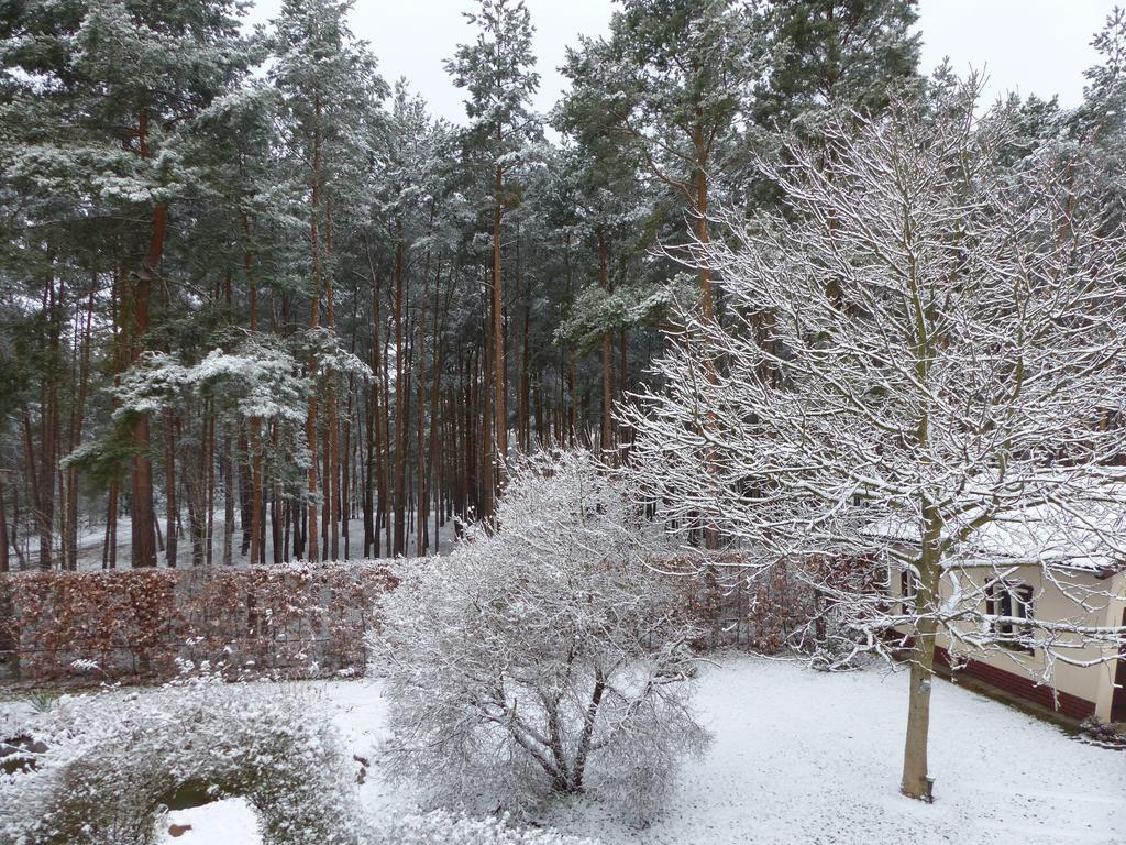 Amselgarten Lübben Zewnętrze zdjęcie