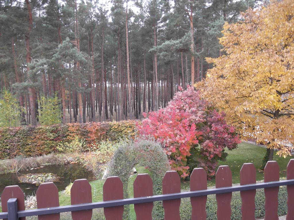 Amselgarten Lübben Zewnętrze zdjęcie